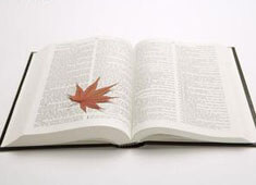 荣耀新生，逐梦未来：探秘冉冉升起的足坛新星