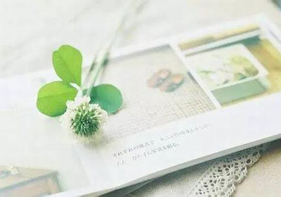 TheRedDevilsAdvance:AThrillingVictoryandaStare-downwithSpain