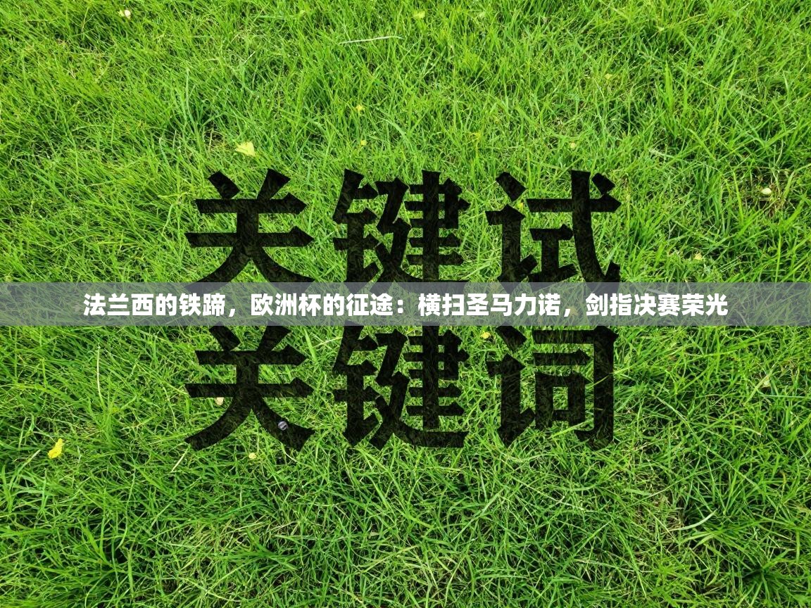 法兰西的铁蹄,欧洲杯的征途:横扫圣马力诺,剑指决赛荣光 第2张