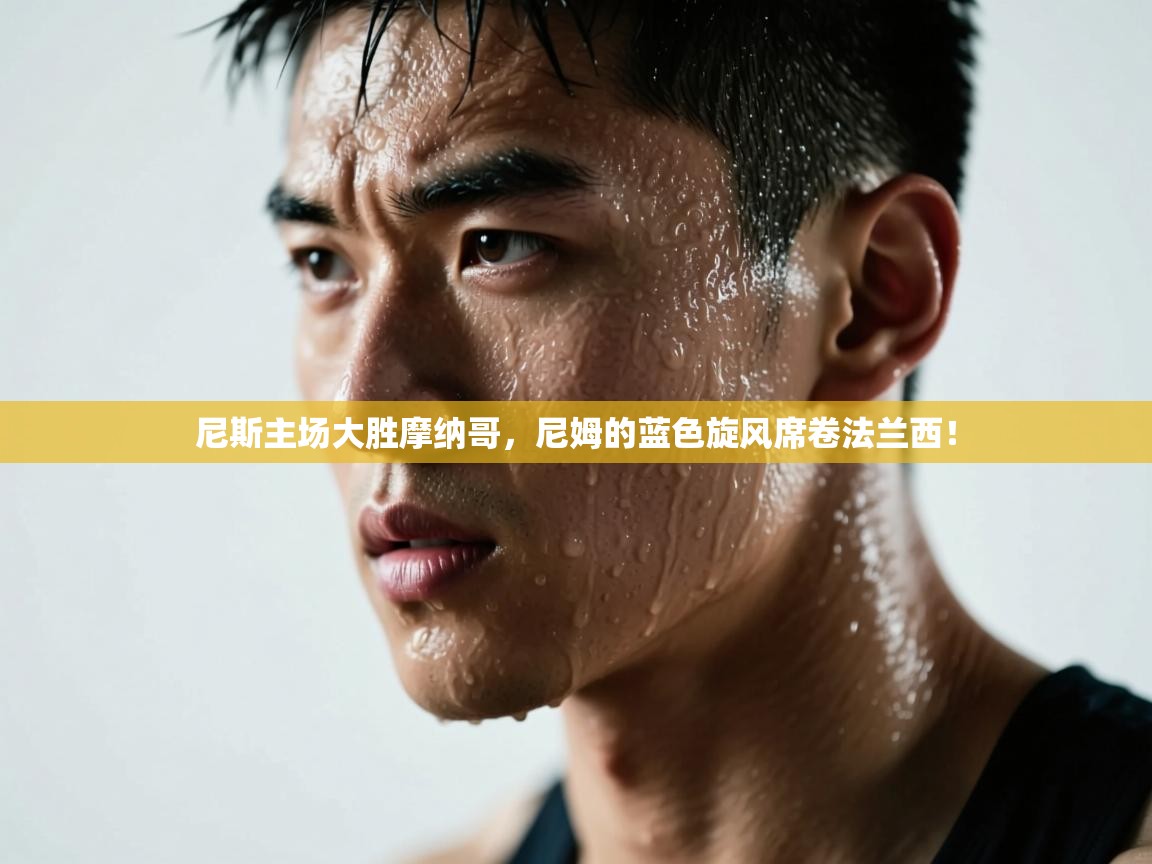 尼斯主场大胜摩纳哥，尼姆的蓝色旋风席卷法兰西！  第2张