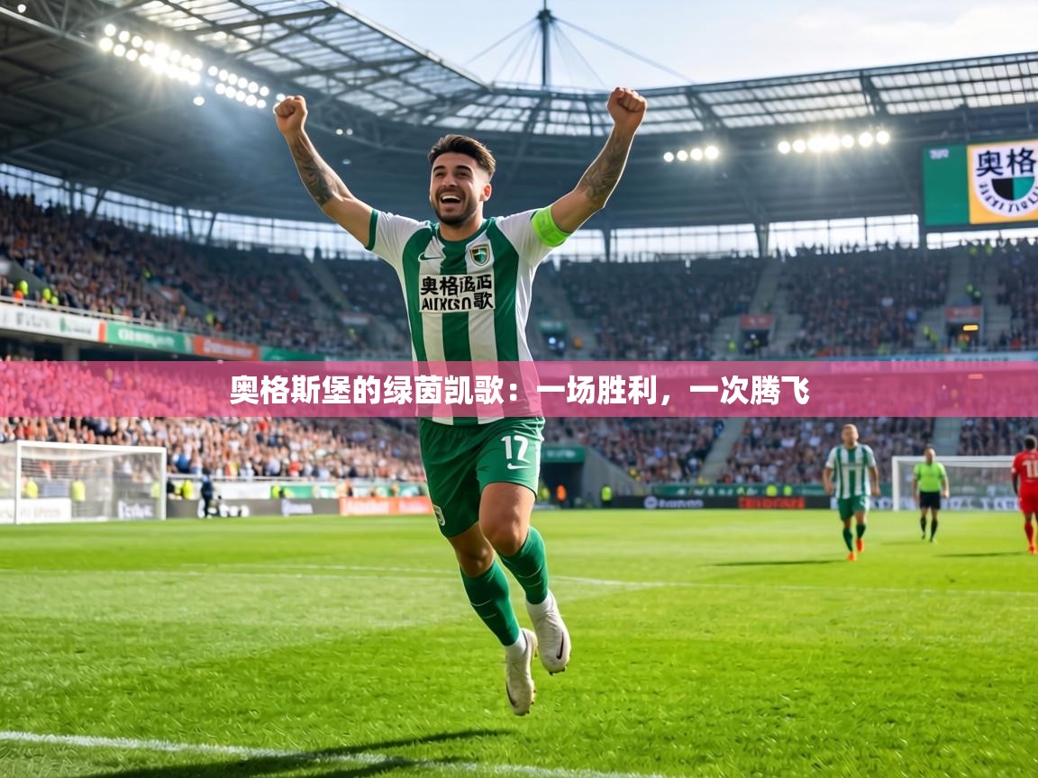 奥格斯堡的绿茵凯歌：一场胜利，一次腾飞  第2张